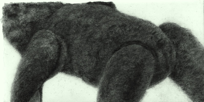 Stuffed Animal / ぬいぐるみ　Pencil on paper　135×270mm　2024