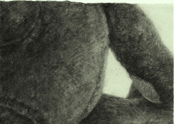 Stuffed Animal / ぬいぐるみ　Pencil on paper　118×165mm　2024