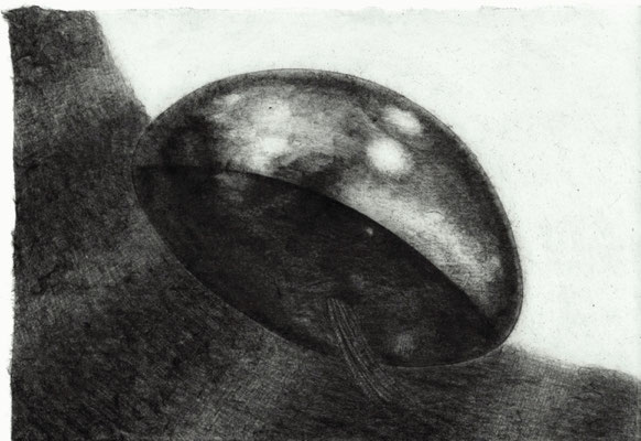 Stuffed Animal / ぬいぐるみ　Pencil on paper　175×258mm　2024
