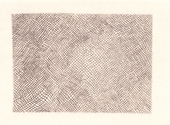 Fence / フェンス　Carbon transfer　320×432mm　2024