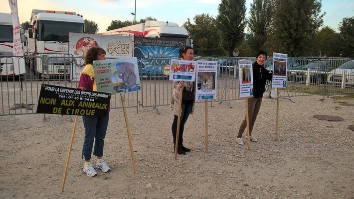 Manifestation contre le salon du chiot organisé par Amis des Bêtes !