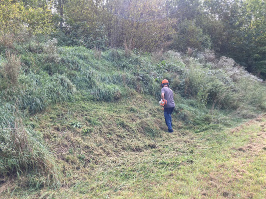 Einrichten von neuem Bogenplatz bei Naturnah Bogenschiessen