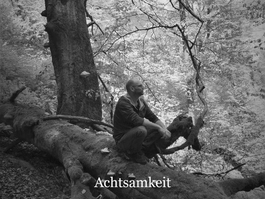 Achtsamkeit in der Natur durch intuitives Bogenschiessen