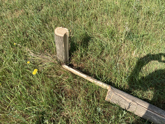 Durch Vandalismus abgesägte Holzpfosten auf meinem Bogenplatz