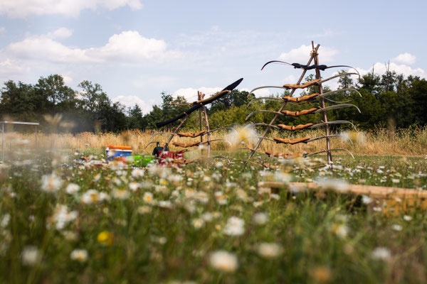 Naturaufnahme mit Bögen im Hintergrund bei Naturnah Bogenschiessen