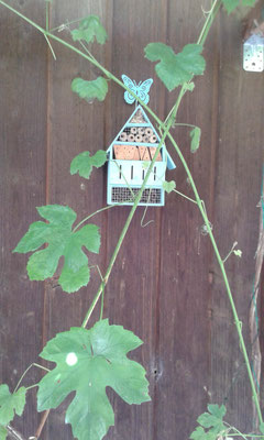 Insektenhotel