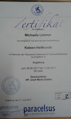 Zertifikat Katzenheilkunde