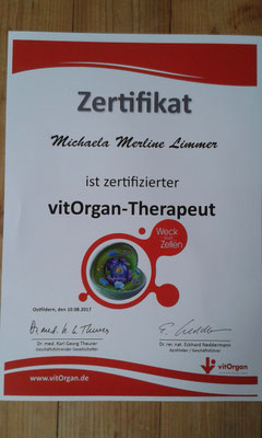 Zertifikat VitOrgan- Therapeut