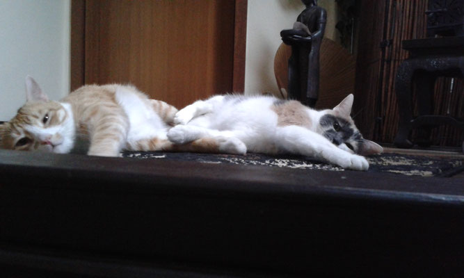 Best friends...