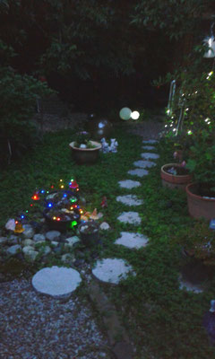 verwunschener Weg