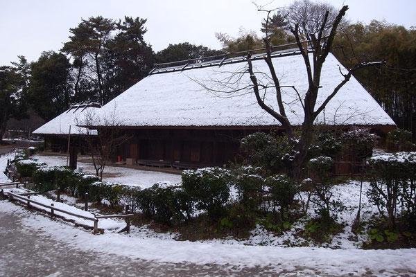 日向椎葉の民家と雪
