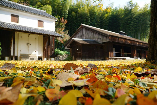 大和十津川の民家と紅葉