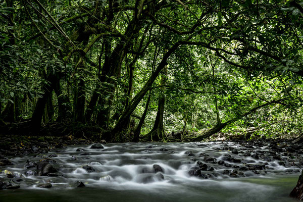 Cours d'eau