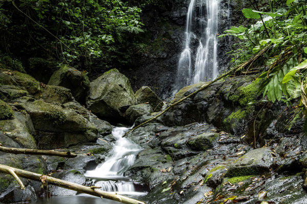 Au fil de l'eau