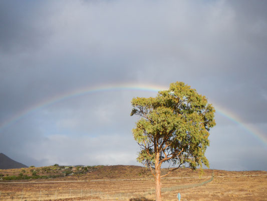 Regenbogen auf Grand Canaria