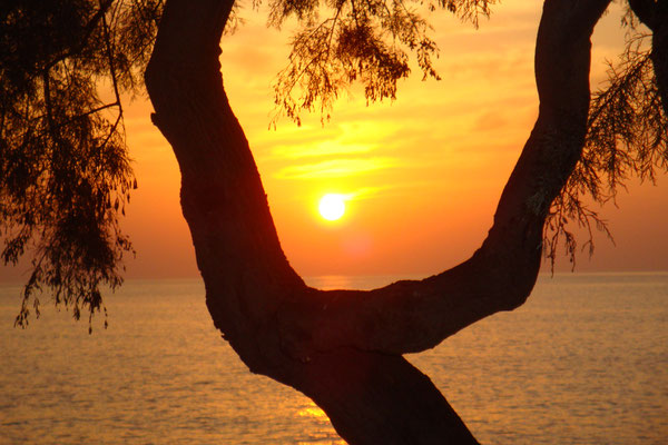 Sonnenaufgang auf Mallorca