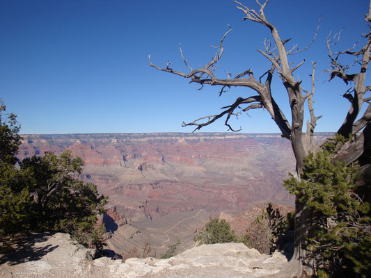 Grand Canyon