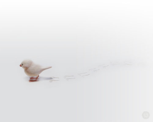 「文鳥ちゃん」