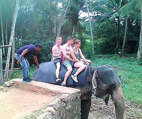 Elefantenreiten in Pinnawela