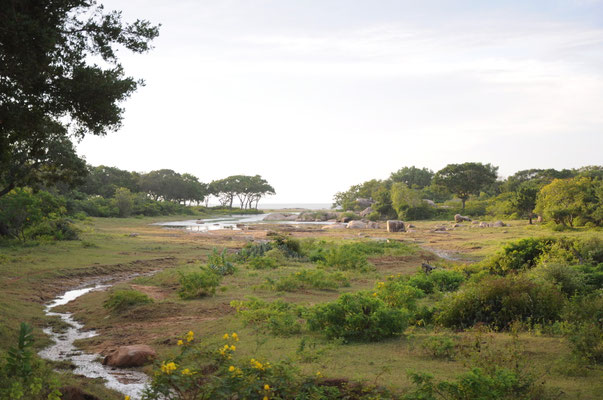 Yala Nationalpark
