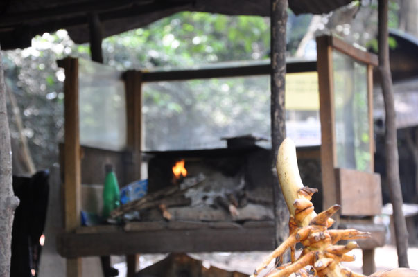 Feuerstelle