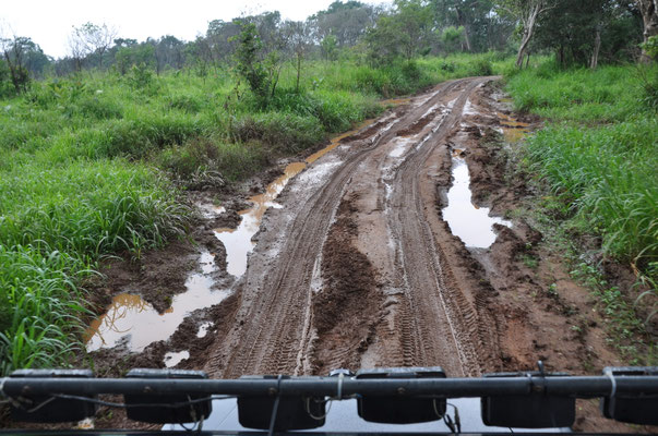 Safari im Hurulu Eco NP
