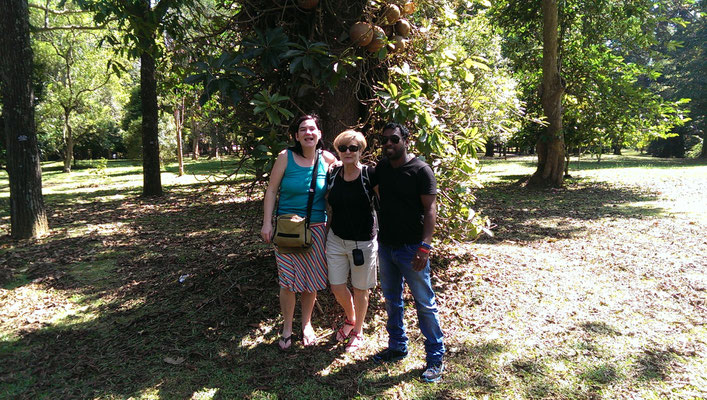Mit Raju im Botanischen Garten von Peradeniya