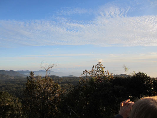 Horton Plains