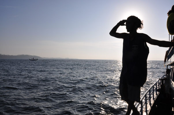 Beim Whale Watching