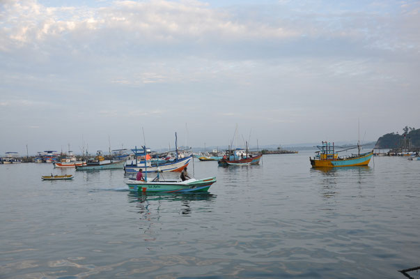 Mirissa Hafen