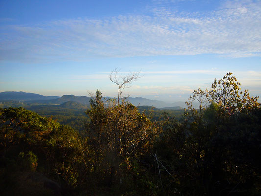 Landschaft Horton Plains