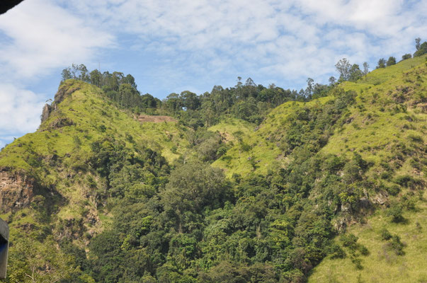 Ella Gap