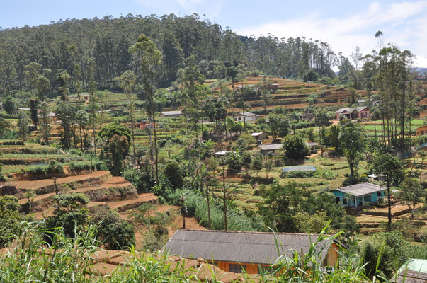 Hochland Sri Lanka