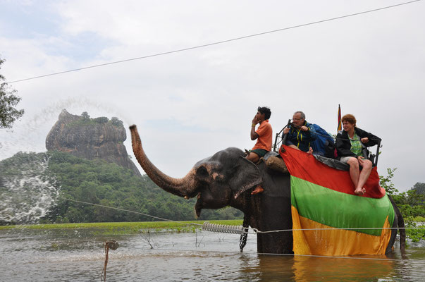 Elefantenreiten, im Hintergrund der Löwenfelsen Sigiriya