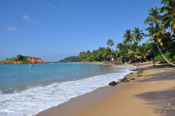 Mirissa Beach