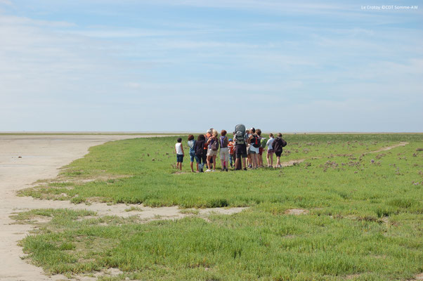 traversée baie de somme
