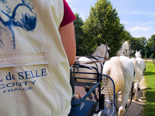 val de selle