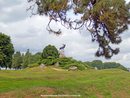 beaumont hamel