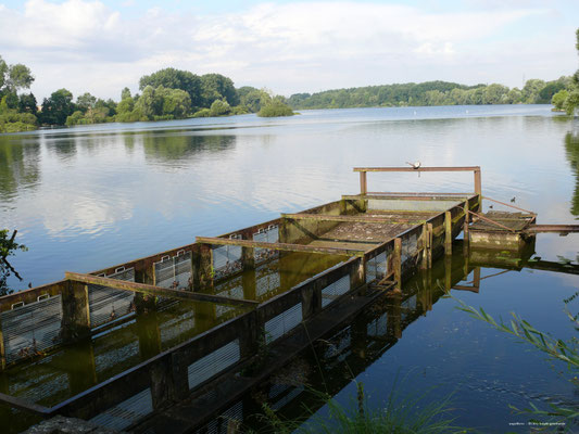 Haute Somme - Etangs