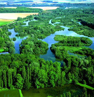 etangs de la somme