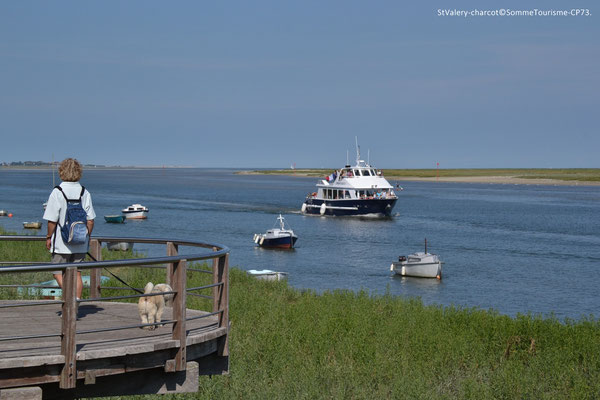 Baie de Somme