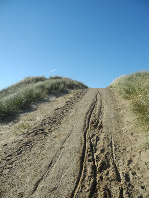 Und auch dies: Ein Radweg :)