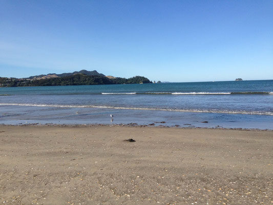 Whitianga Beach