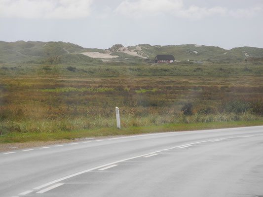 Die ersten Dünen Richtung Hvide Sande.