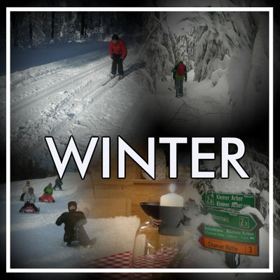 Erlebnsiveranstalter, Schneeschuhverleih, Schneeschuhtouren, Schneeschuhwanderungen, Bodenmais, Silberberg, Arber, Bretterschachten, Bayerischer Wald, Hütte, Hüttengaudi, Hüttenabend, Fackelwanderung, Schlitten fahren, Rodeln, Firmen, Gruppen, Betriebe