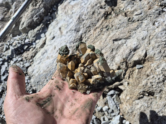 Kluft am Brunnifirn Bergkristall-Stufen und Chlorit, Oberalpstockgebiet, Uri, Schweiz