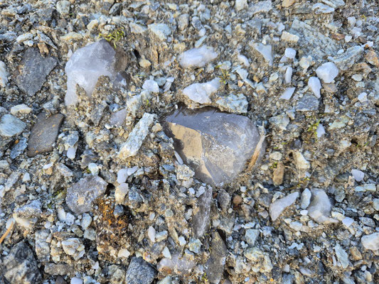 Tolle Kluftanzeichen mit Rauchquarz, Bündner Alpen, Schweiz