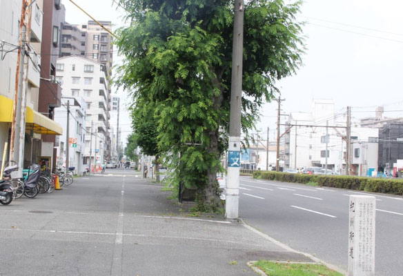 自転車レーン最初の姿が今も