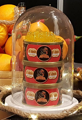 Goes trade fair 2020