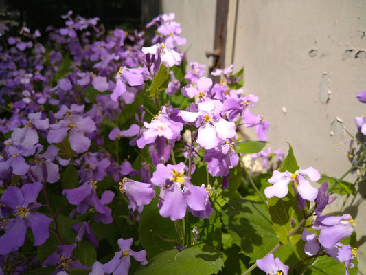 4月
